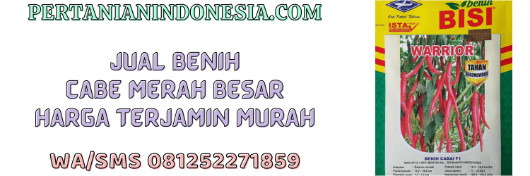 jual,murah,terjangkau,toko pertanian terdekat,pertanian indonesia